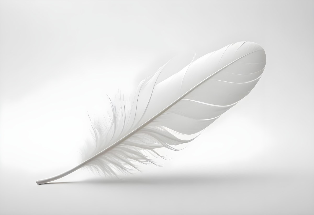 A White Feather With A Curved Shape Soft Texture And Delicate Barbs Floating In A Clean Bright White Background 35 9178