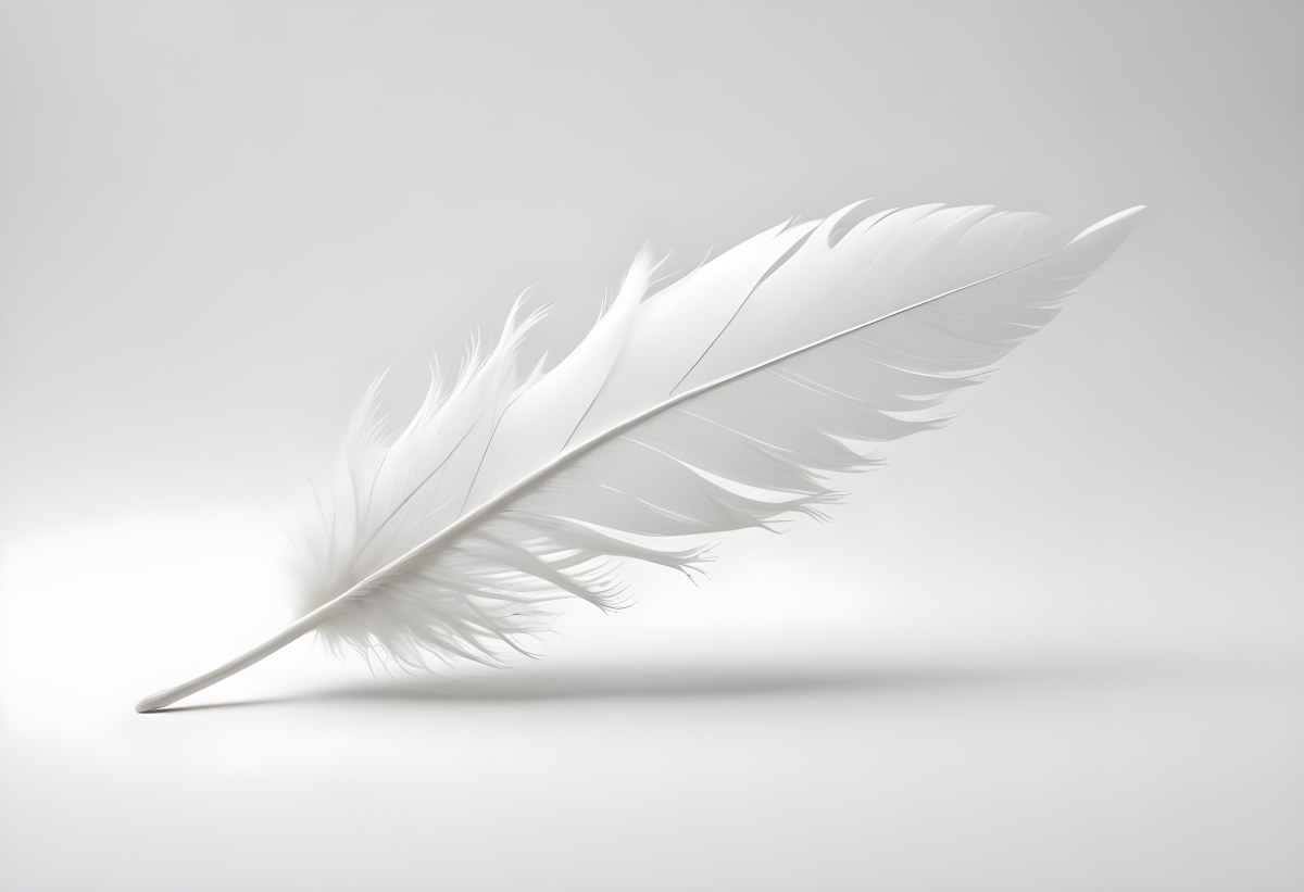 A White Feather With A Curved Shape Soft Texture And Delicate Barbs Floating In A Clean Bright White Background 43 3cb8