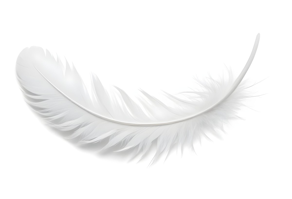A White Feather With A Curved Shape Soft Texture And Delicate Barbs Floating In A Clean Bright White Background 46 92a6