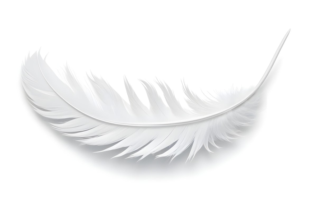 A White Feather With A Curved Shape Soft Texture And Delicate Barbs Floating In A Clean Bright White Background 47 4cc1