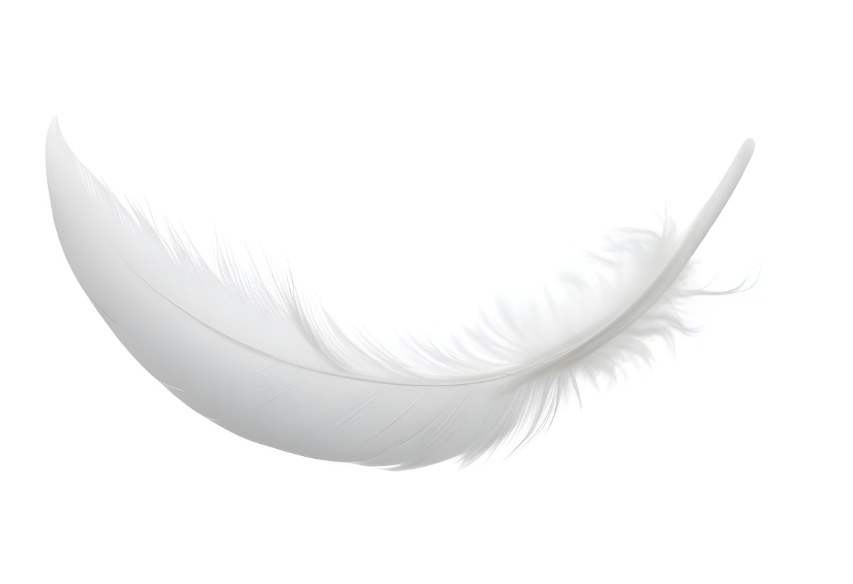 A White Feather With A Curved Shape Soft Texture And Delicate Barbs Floating In A Clean Bright White Background 48 86a8
