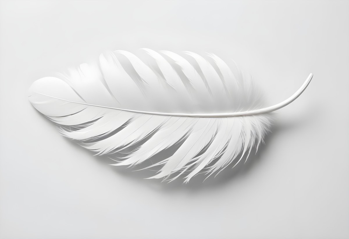 A White Feather With A Curved Shape Soft Texture And Delicate Barbs Floating In A Clean Bright White Background 9 4c97