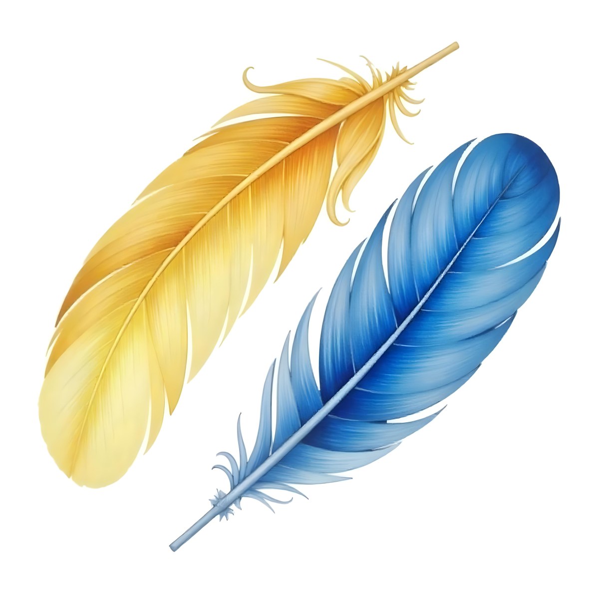 A Yellow Feather And A Blue Feather A Red Feather And A White Feather 16 8466