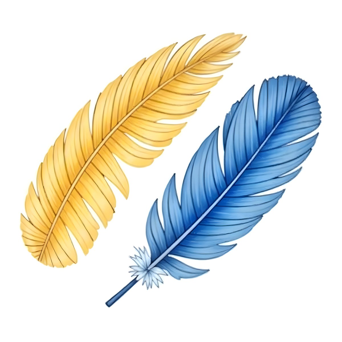 A Yellow Feather And A Blue Feather A Red Feather And A White Feather 5 5bbe