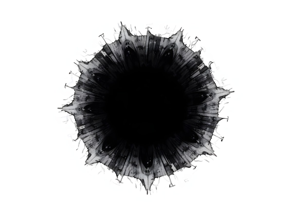 Black Circle With A Grainy Texture The Center Is Solid Black The Edges Are Blurred And Faded On A Black Background 4 F8cd