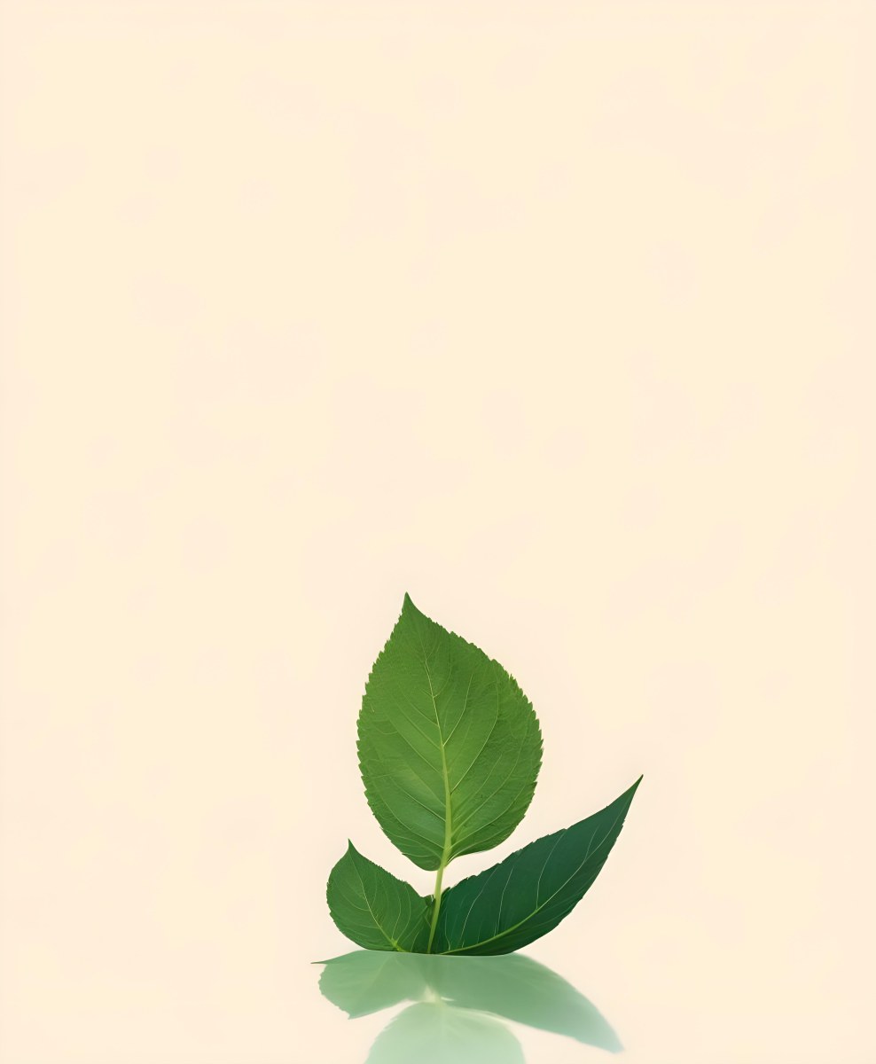 Green Leaf With Thick Stem On Light Yellow Background 12