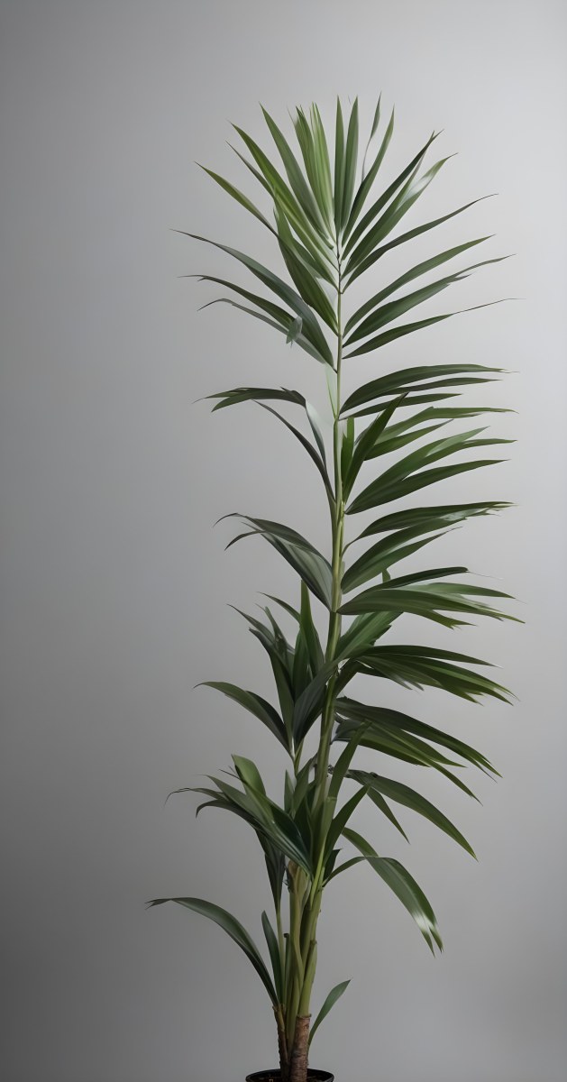Green Palm Leaves Against A Gray Background 4 16bb