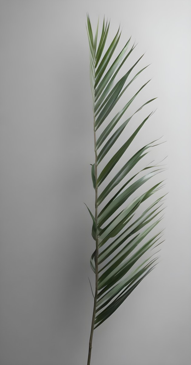Green Palm Leaves Against A Gray Background 6 F93b