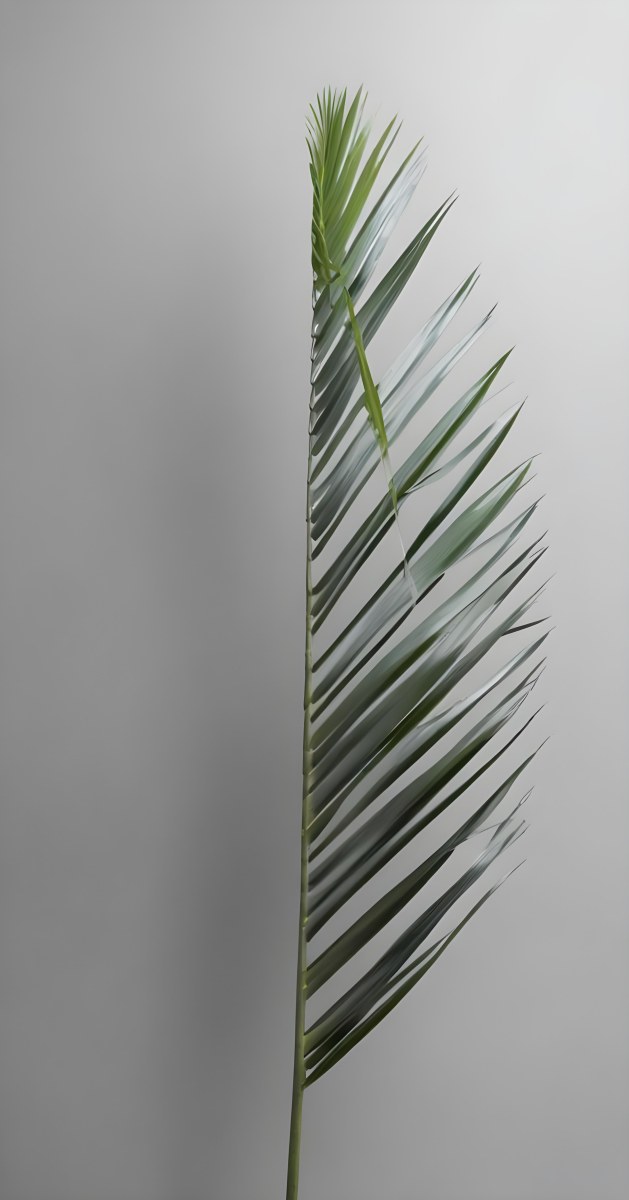 Green Palm Leaves Against A Gray Background 7 5197