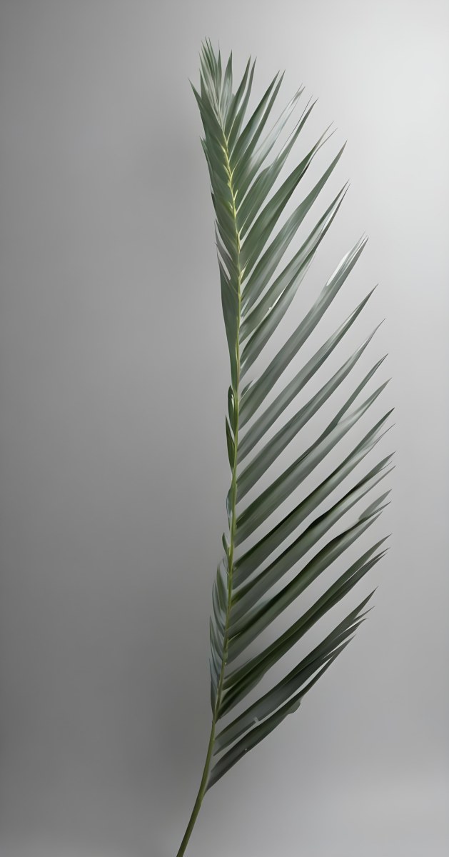 Green Palm Leaves Against A Gray Background 8 8a6a