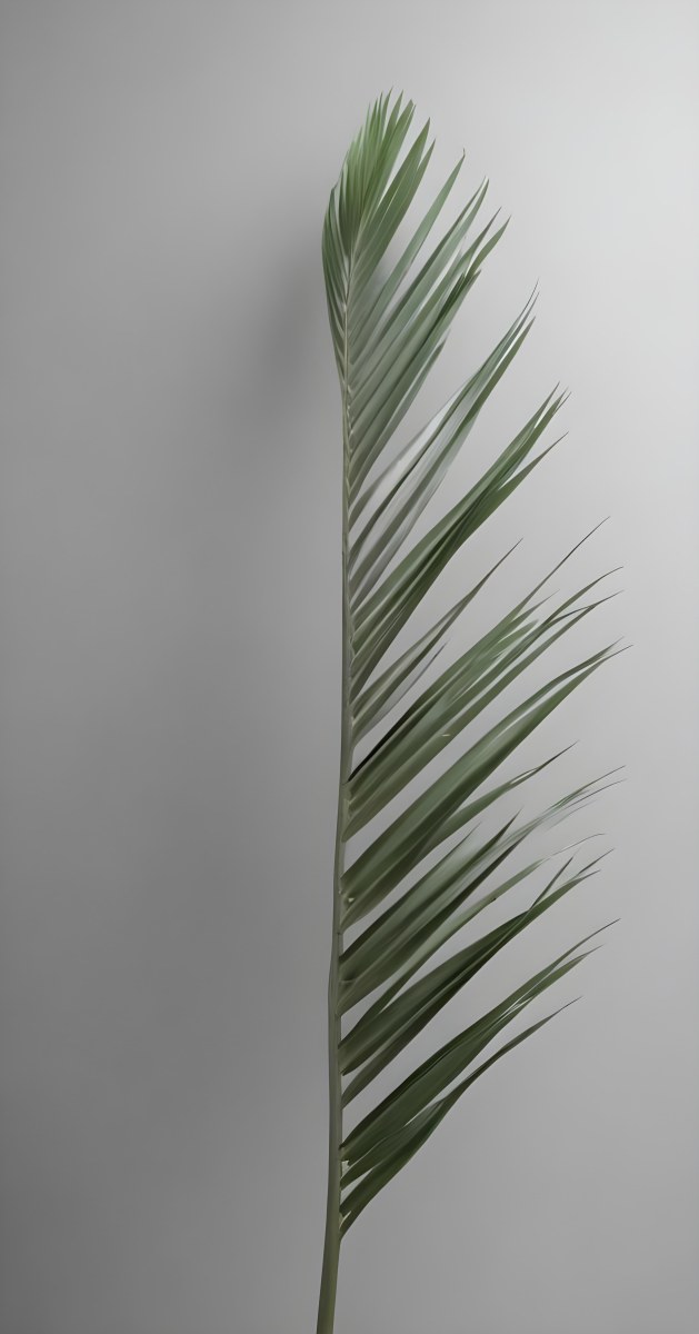Green Palm Leaves Against A Gray Background 9 C81f