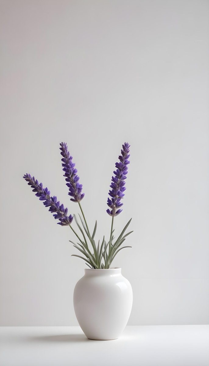 Lavender Flower In A White Ceramic Vase White Background Soft Lighting Minimalist Composition Clean Aesthetic Elegant Simple Calming Floral Arrangement Botanical Decorative 25 5678