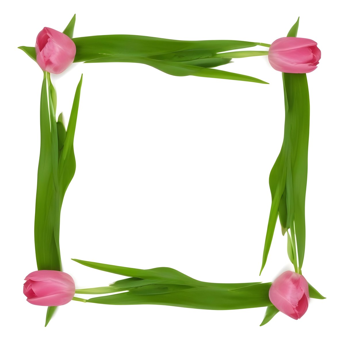 Pink Tulips Arranged In A Circular Frame On A Gray Background 11 Cba6