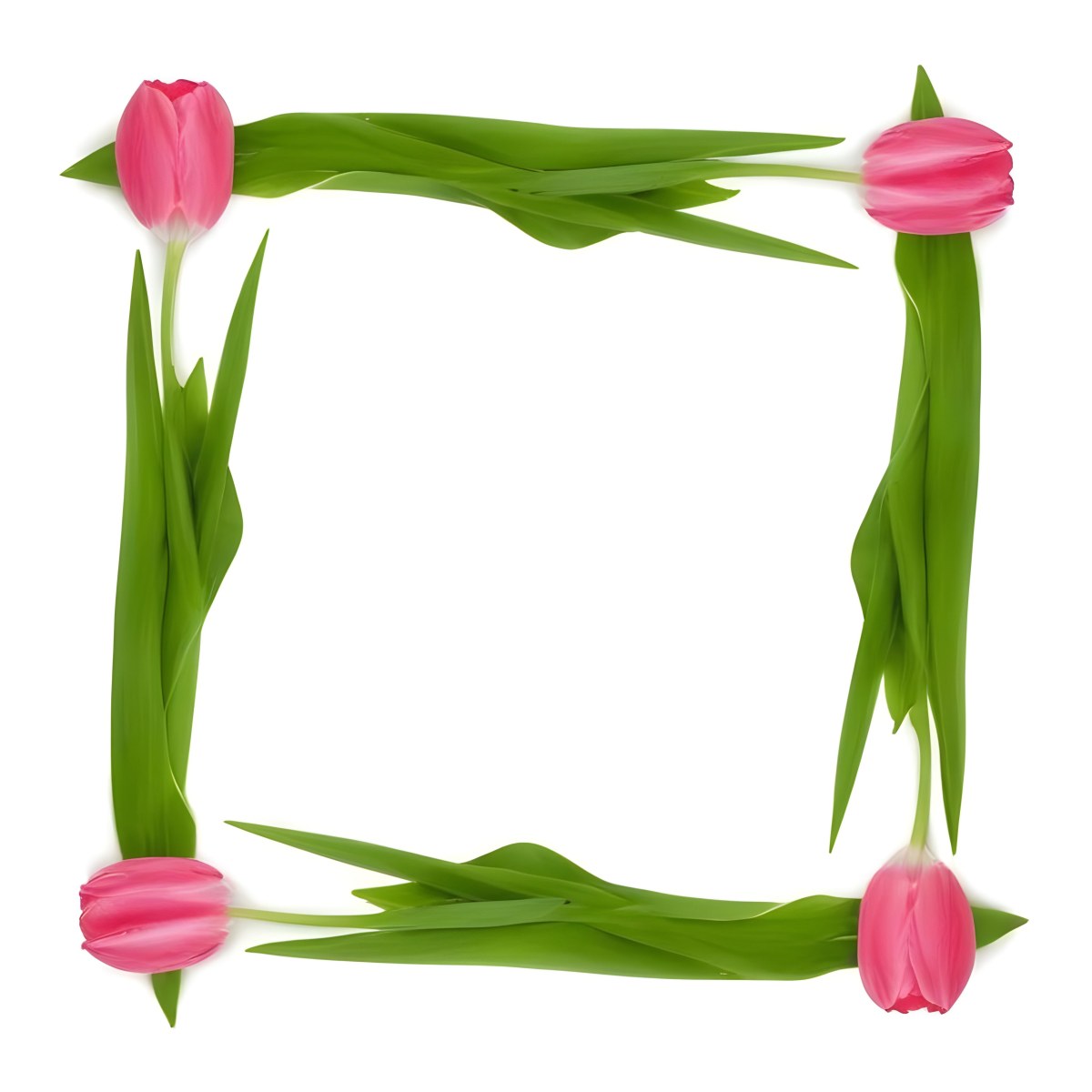 Pink Tulips Arranged In A Circular Frame On A Gray Background 12 0137
