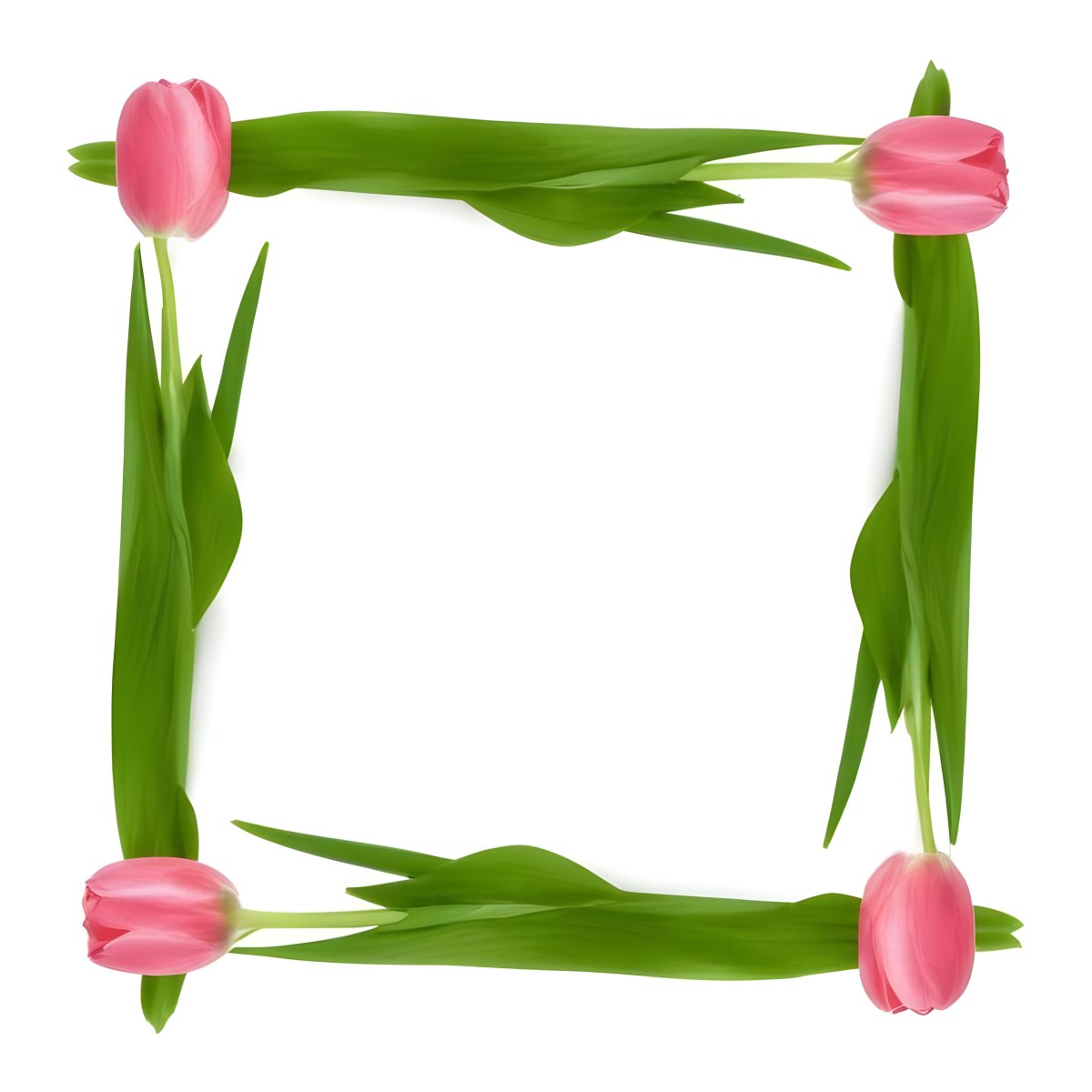 Pink Tulips Arranged In A Circular Frame On A Gray Background 13 De5d