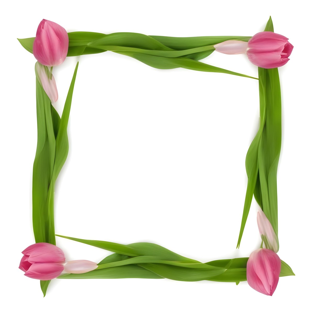 Pink Tulips Arranged In A Circular Frame On A Gray Background 14 Dbde