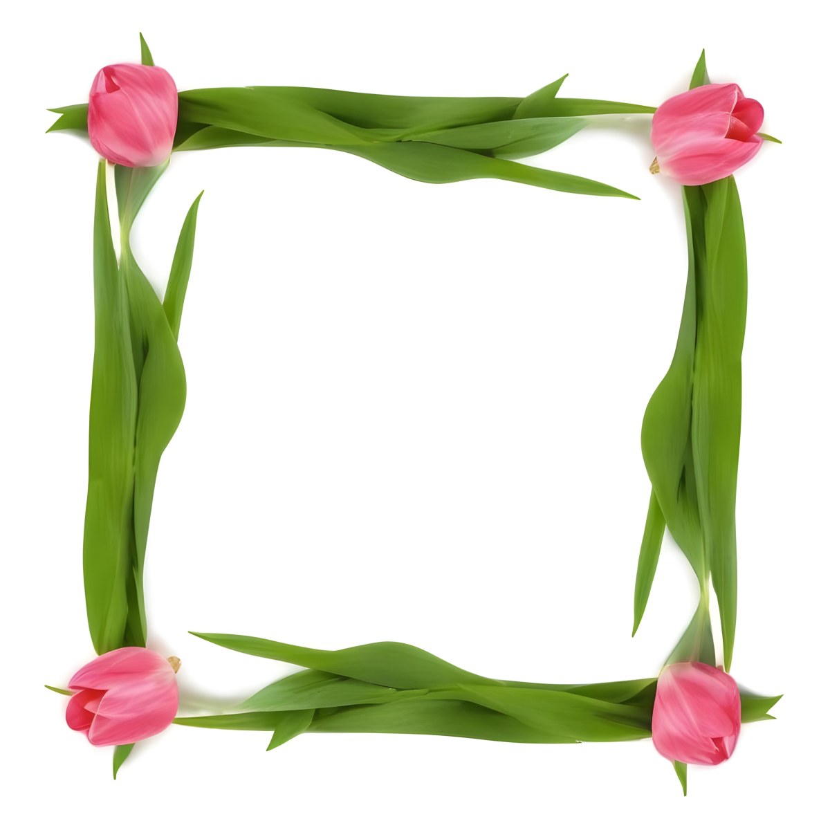 Pink Tulips Arranged In A Circular Frame On A Gray Background 15 E012