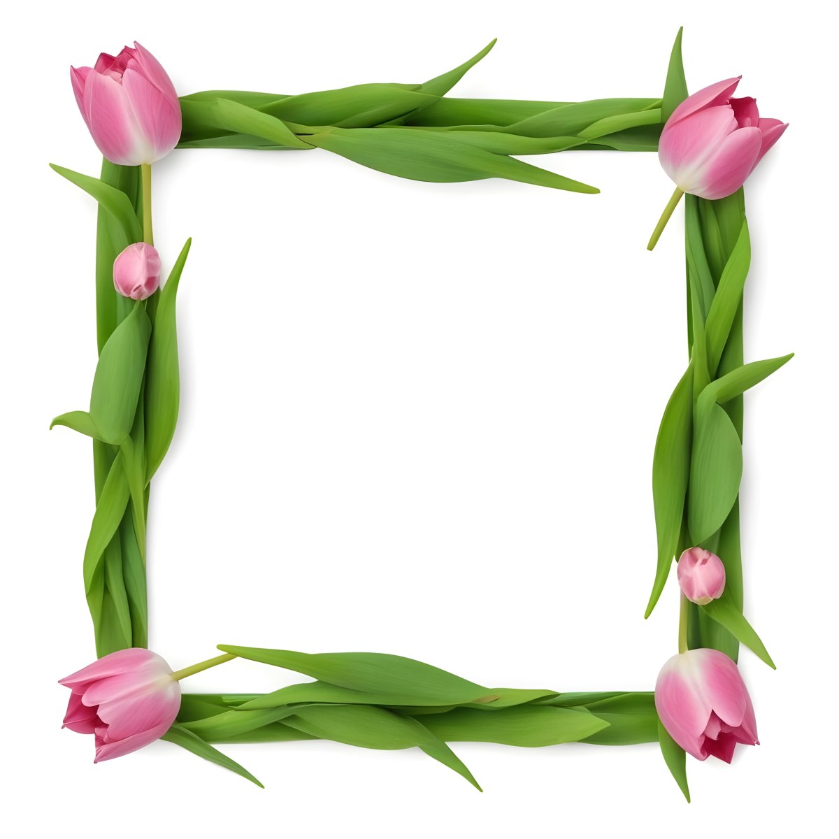 Pink Tulips Arranged In A Circular Frame On A Gray Background 2 2e0b