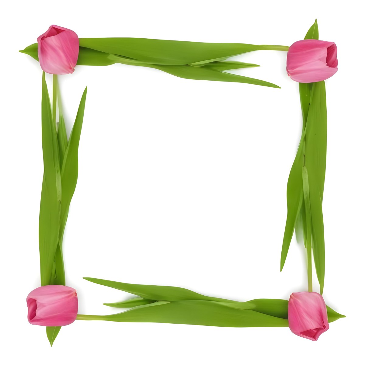 Pink Tulips Arranged In A Circular Frame On A Gray Background 4 31e5