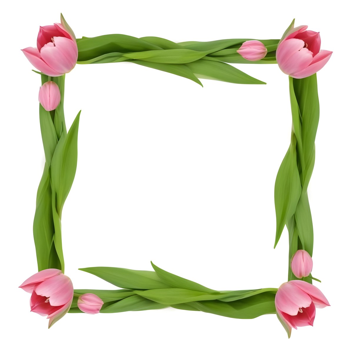 Pink Tulips Arranged In A Circular Frame On A Gray Background 6 34a4