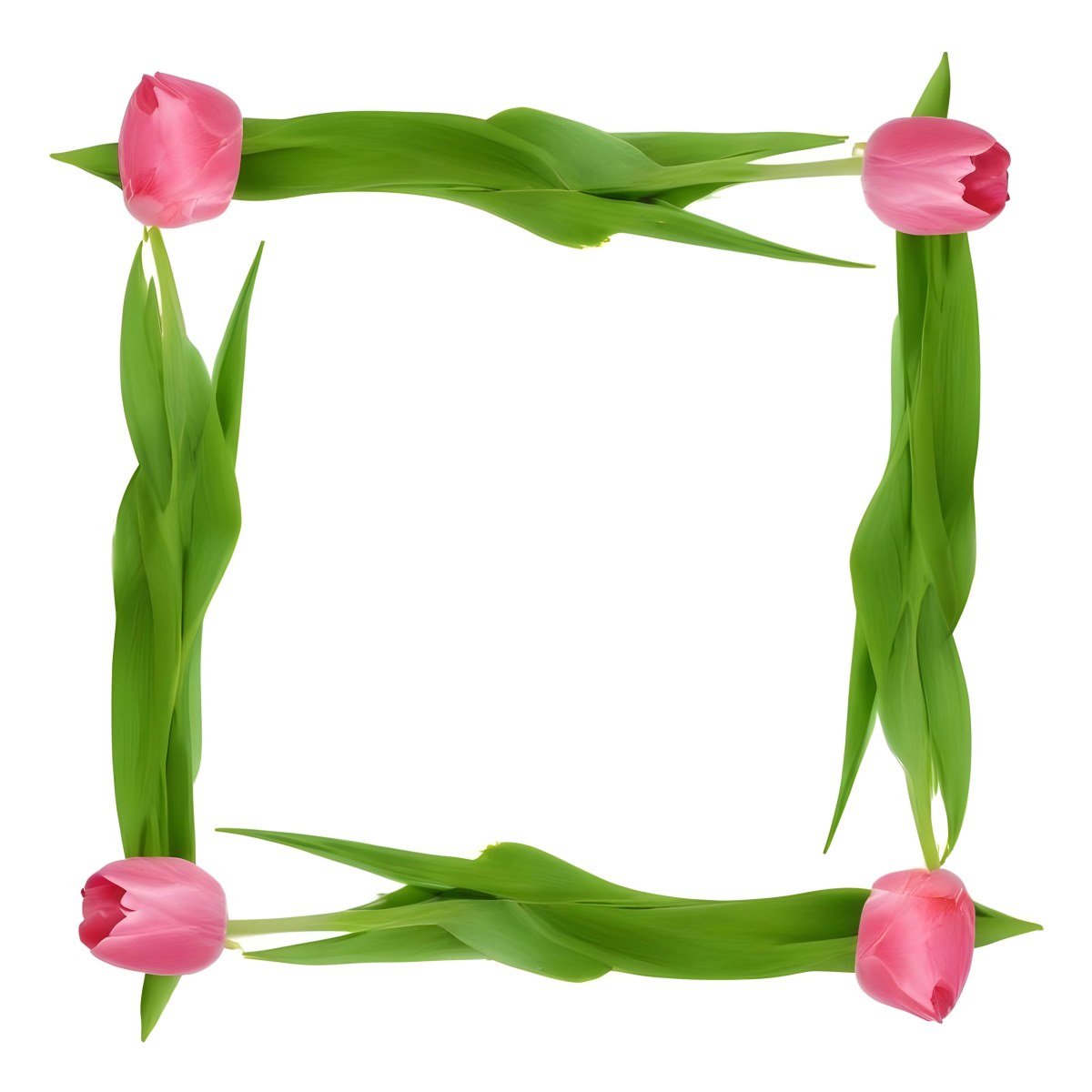 Pink Tulips Arranged In A Circular Frame On A Gray Background 7 F9c9