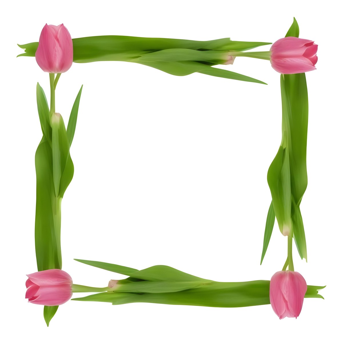 Pink Tulips Arranged In A Circular Frame On A Gray Background 8 62aa