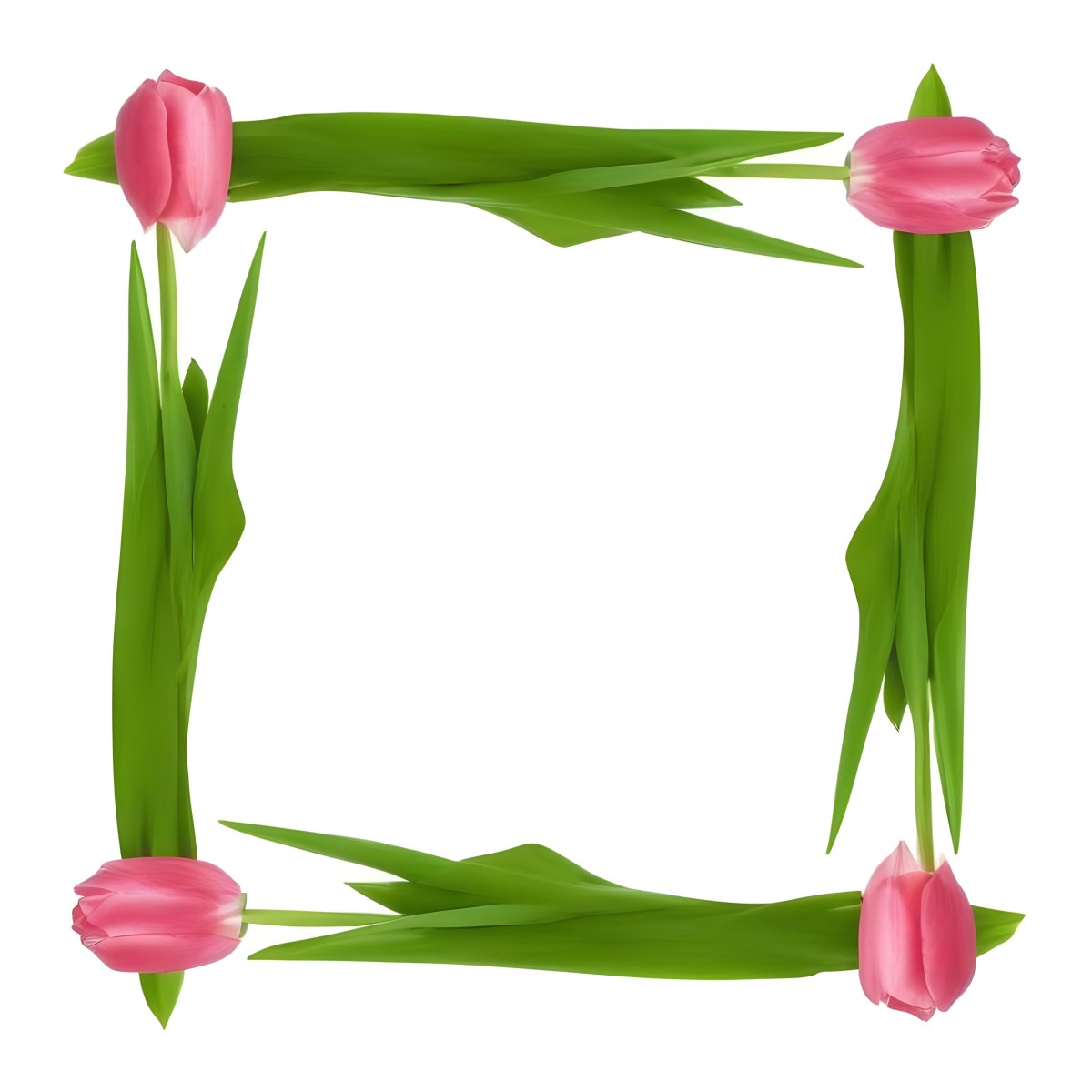 Pink Tulips Arranged In A Circular Frame On A Gray Background 9 A537