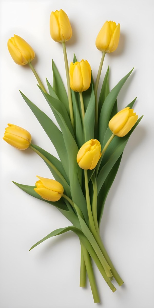 Yellow Tulips With Green Stems And Leaves Against 45 E9b6