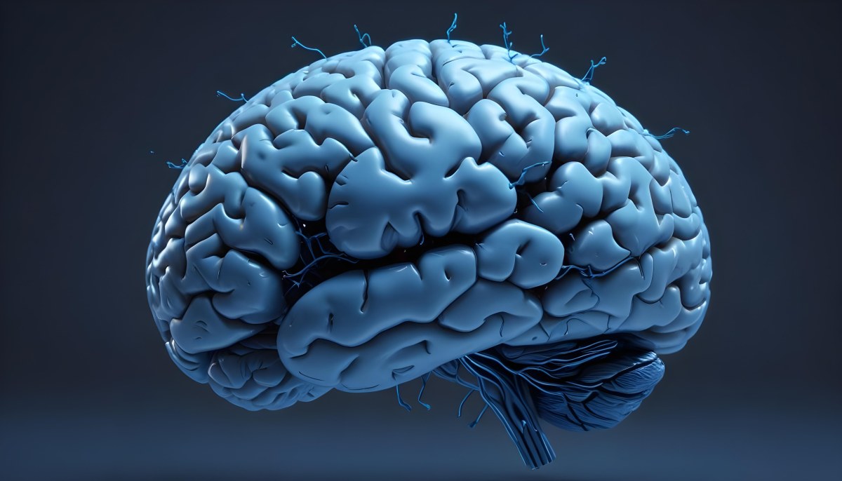 A Blue Human Brain