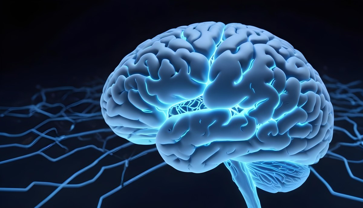A Blue Human Brain With Dark Connections Representing Neural Networks And Cognitive Function On A Dark Blue Background 12 Ee9c