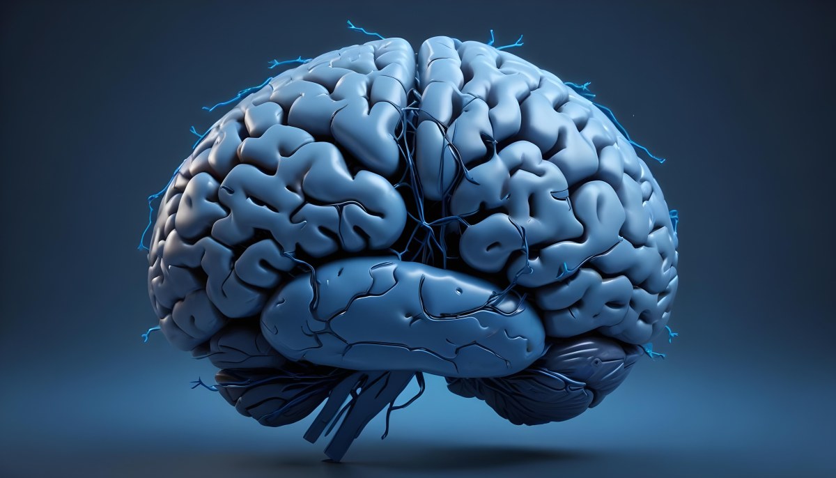 A Blue Human Brain With Dark Connections Representing Neural Networks And Cognitive Function On A Dark Blue Background 13 50c3