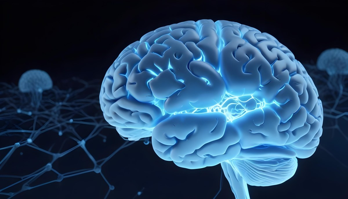 A Blue Human Brain With Dark Connections Representing Neural Networks And Cognitive Function On A Dark Blue Background 18 77fe