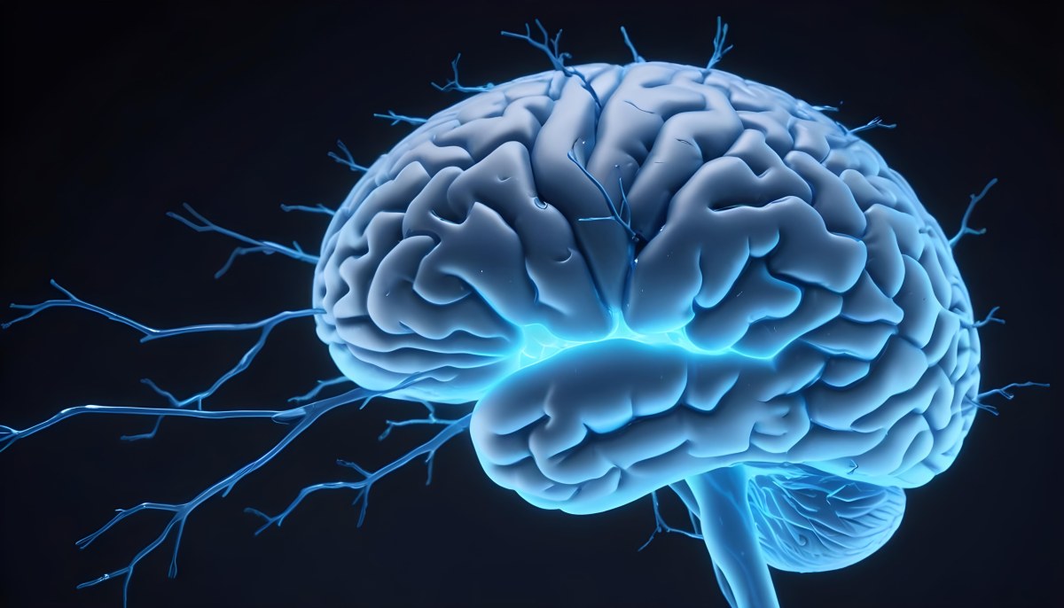 A Blue Human Brain With Dark Connections Representing Neural Networks And Cognitive Function On A Dark Blue Background 20 E882