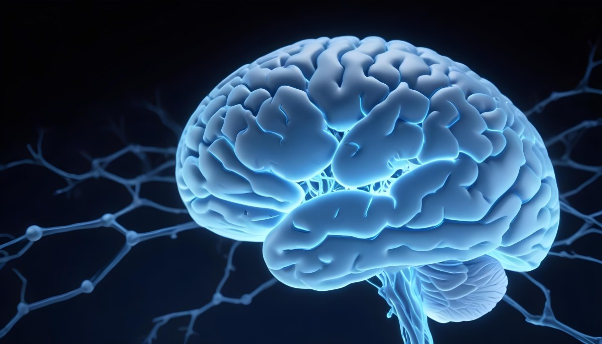 A Blue Human Brain With Dark Connections Representing Neural Networks And Cognitive Function On A Dark Blue Background 21 Ba1d