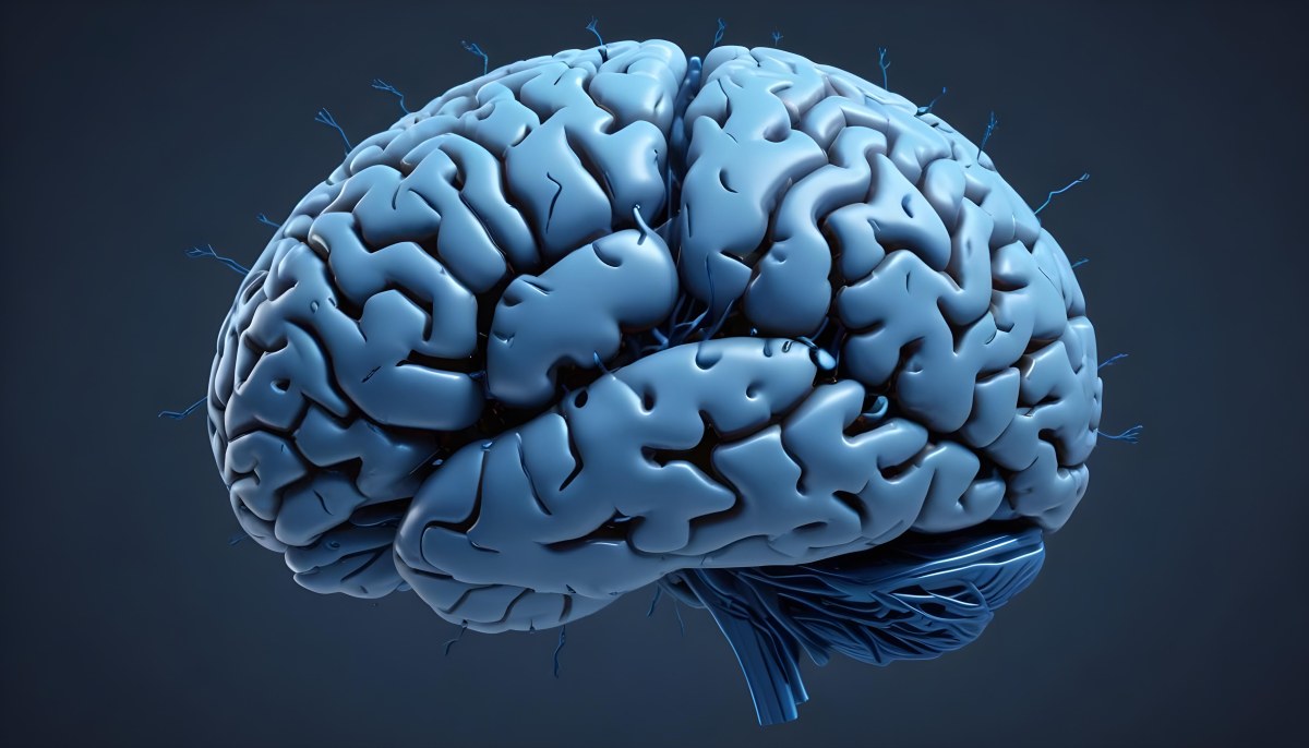 A Blue Human Brain With Dark Connections Representing Neural Networks And Cognitive Function On A Dark Blue Background 22 87dc