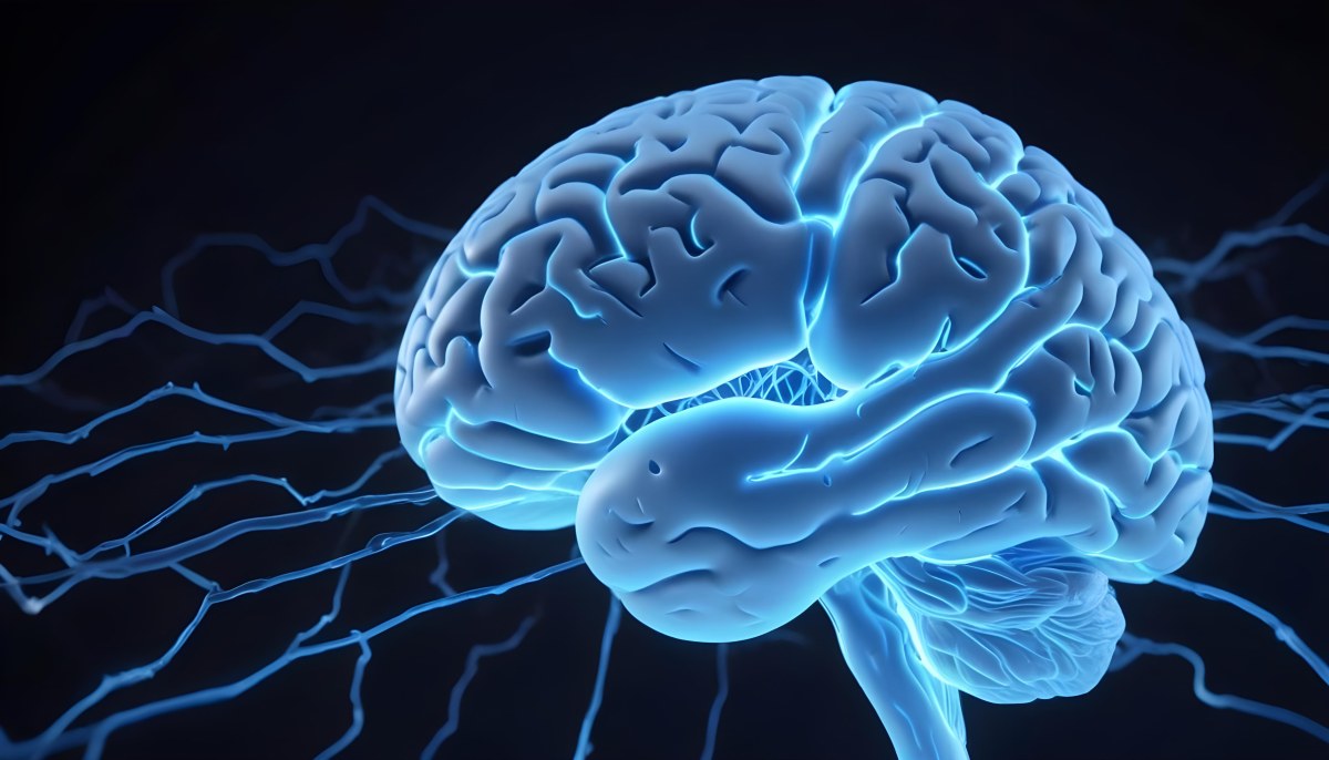 A Blue Human Brain With Dark Connections Representing Neural Networks And Cognitive Function On A Dark Blue Background 23 E01f