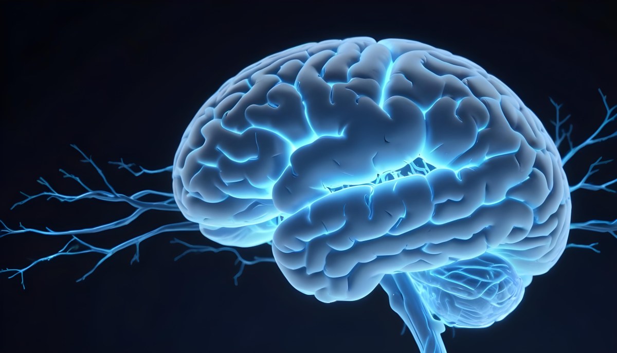 A Blue Human Brain With Dark Connections Representing Neural Networks And Cognitive Function On A Dark Blue Background 24 36ac