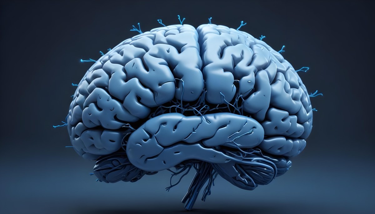 A Blue Human Brain With Dark Connections Representing Neural Networks And Cognitive Function On A Dark Blue Background 5 E9d7