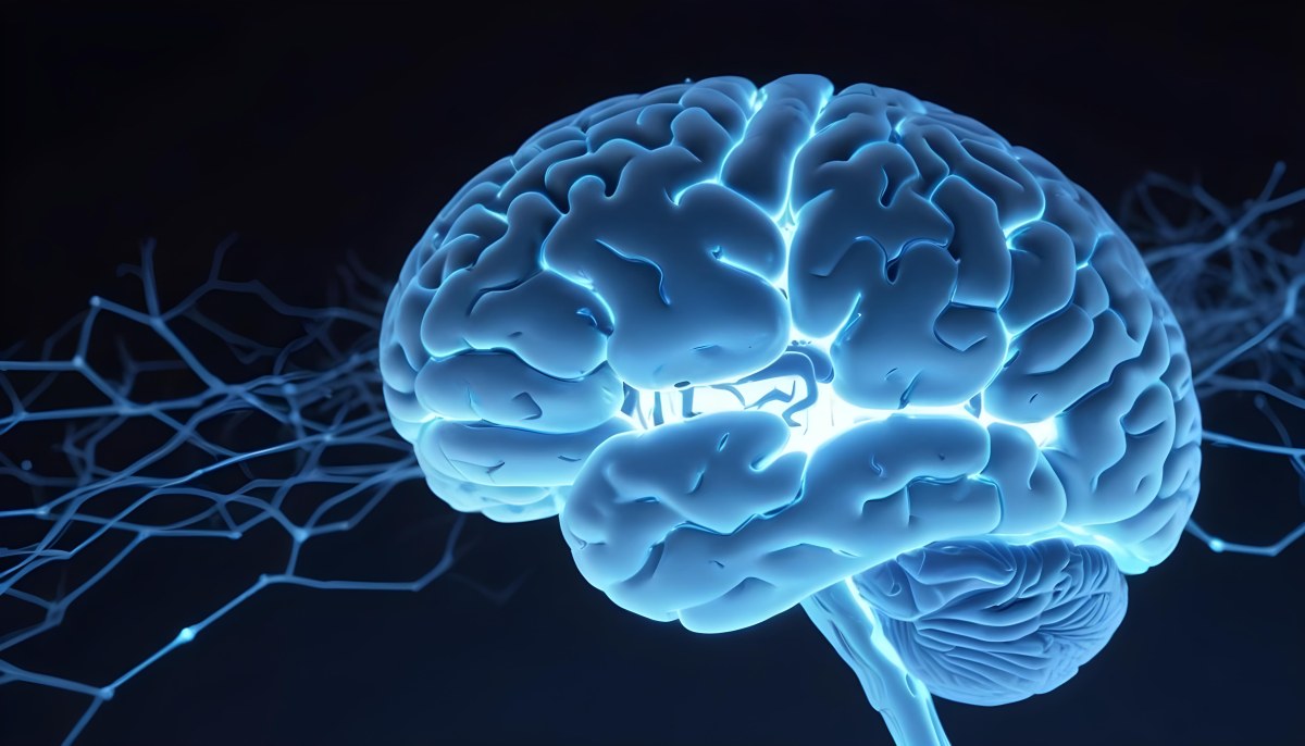 A Blue Human Brain With Dark Connections Representing Neural Networks And Cognitive Function On A Dark Blue Background 8 1d66