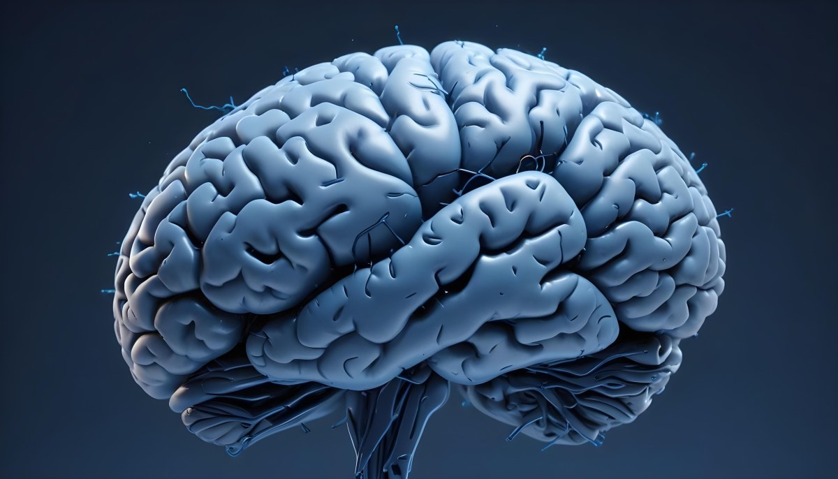 A Blue Human Brain With Dark Connections Representing Neural Networks And Cognitive Function On A Dark Blue Background 9 66ad