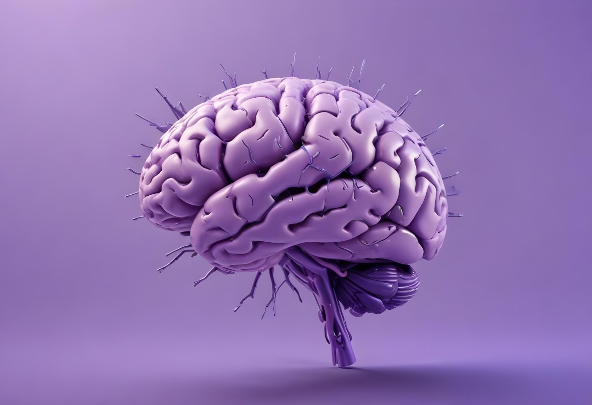 A Brain With A Neural Network Around It Purple Background Anatomical Detailed Intricate Realistic High Resolution Studio Lighting Clean 10 F997