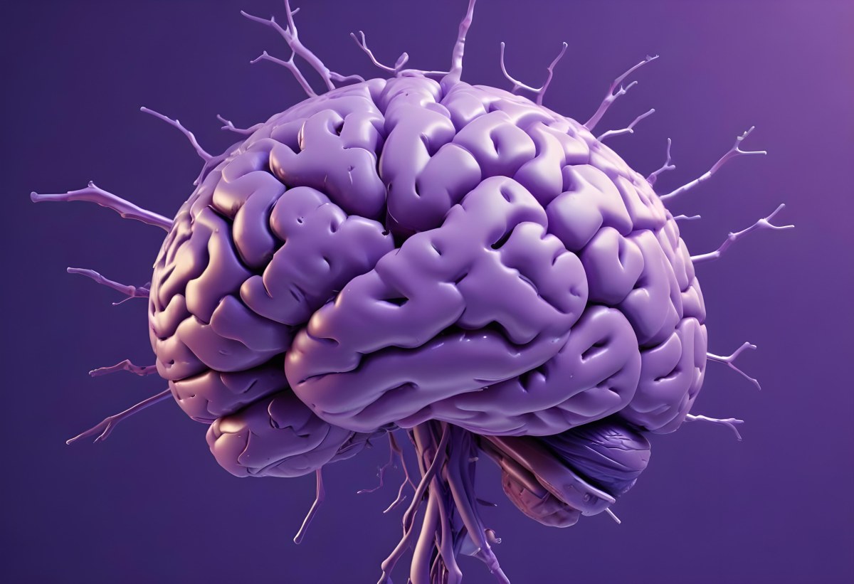 A Brain With A Neural Network Around It Purple Background Anatomical Detailed Intricate Realistic High Resolution Studio Lighting Clean 16 8fc5