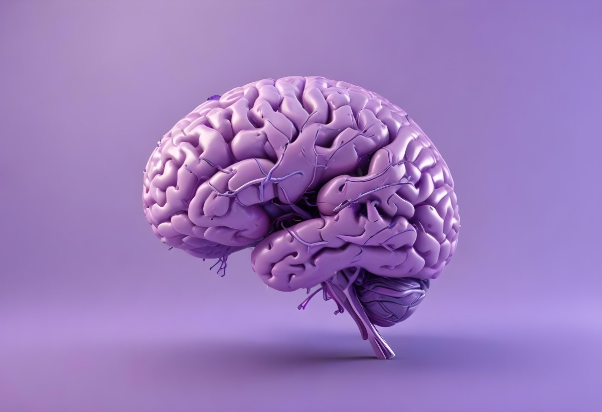 A Brain With A Neural Network Around It Purple Background Anatomical Detailed Intricate Realistic High Resolution Studio Lighting Clean 2 2276