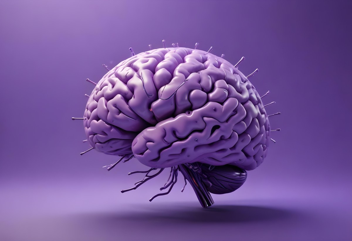 A Brain With A Neural Network Around It Purple Background Anatomical Detailed Intricate Realistic High Resolution Studio Lighting Clean 26 4bc5