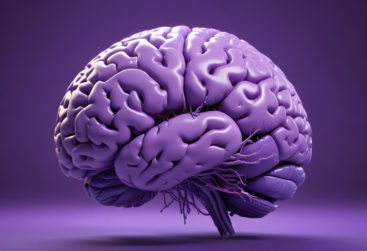 A Brain With A Neural Network Around It Purple Background Anatomical Detailed Intricate Realistic High Resolution Studio Lighting Clean 27 15d4
