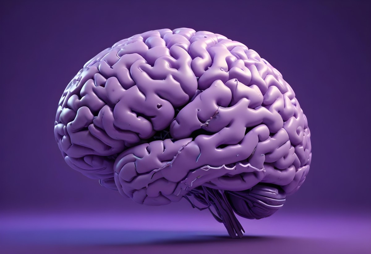 A Brain With A Neural Network Around It Purple Background Anatomical Detailed Intricate Realistic High Resolution Studio Lighting Clean 28 Bf47