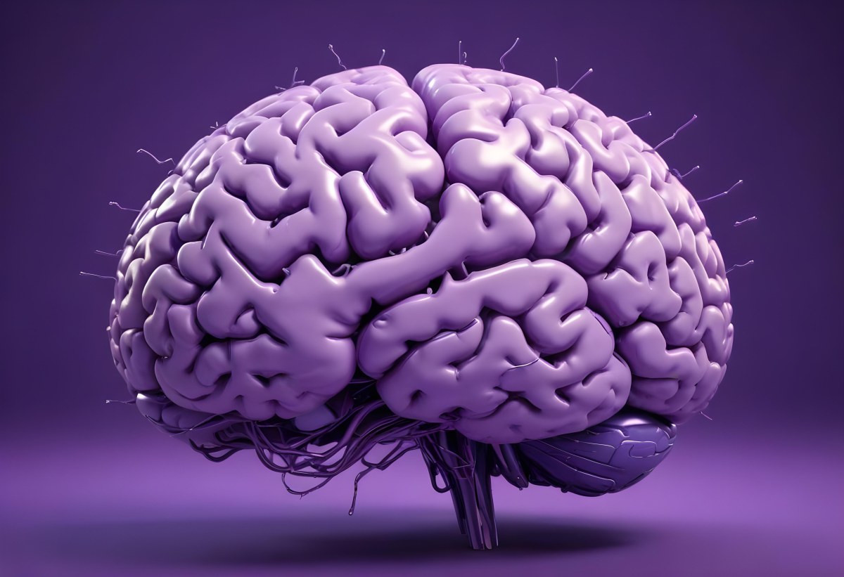 A Brain With A Neural Network Around It Purple Background Anatomical Detailed Intricate Realistic High Resolution Studio Lighting Clean 29 1f92