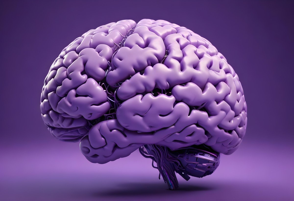 A Brain With A Neural Network Around It Purple Background Anatomical Detailed Intricate Realistic High Resolution Studio Lighting Clean 3 2811