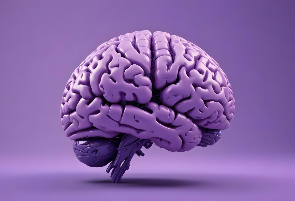 A Brain With A Neural Network Around It Purple Background Anatomical Detailed Intricate Realistic High Resolution Studio Lighting Clean 30 6dba