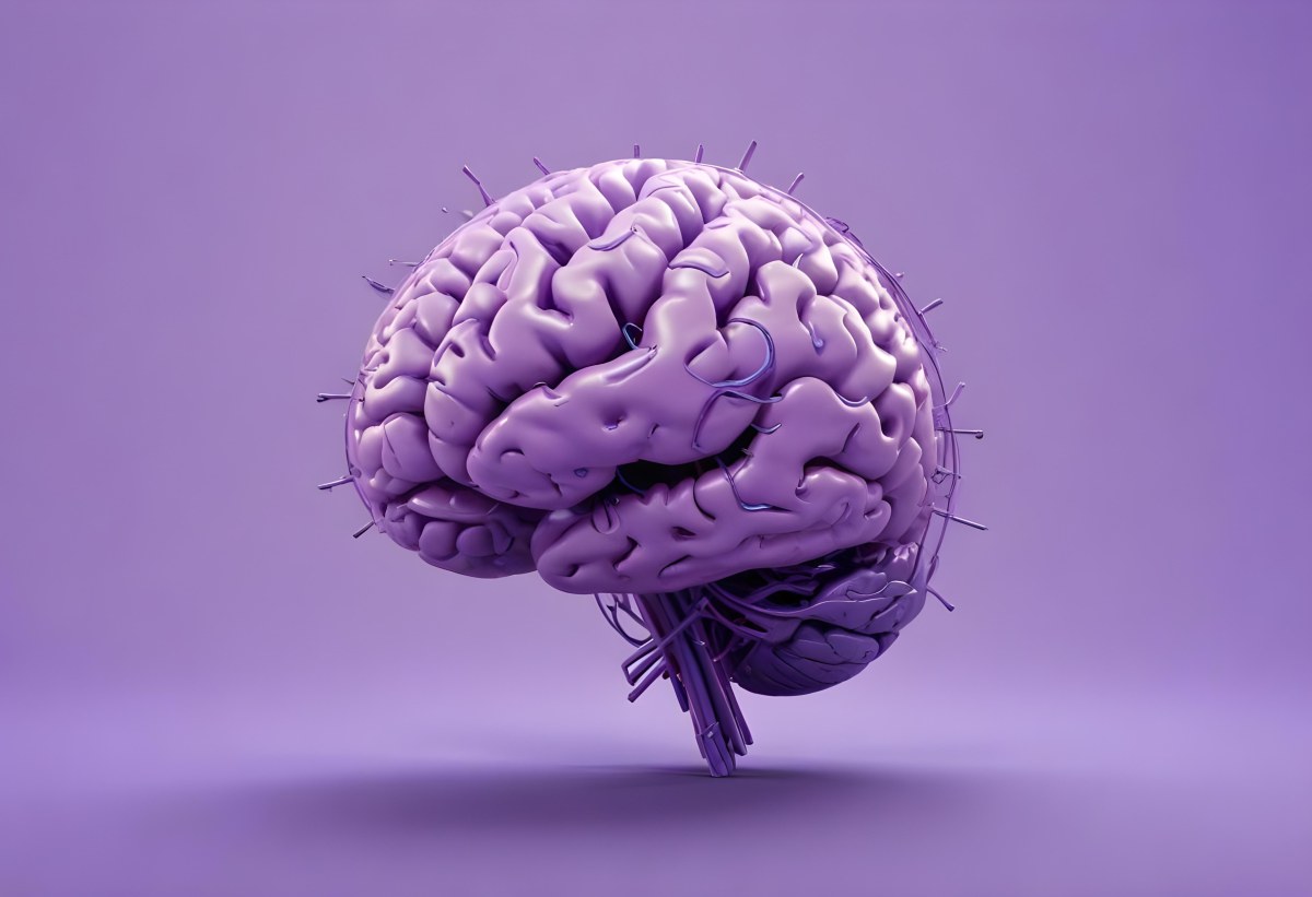A Brain With A Neural Network Around It Purple Background Anatomical Detailed Intricate Realistic High Resolution Studio Lighting Clean 31 324d